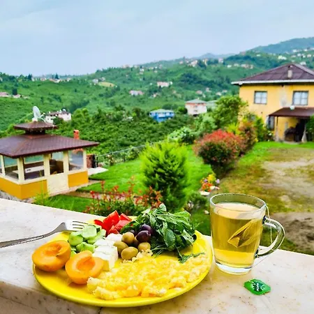 Dogasya Luks Koy Evi Holiday home